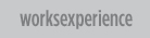 Works Experience
